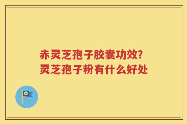 赤灵芝孢子胶囊功效？灵芝孢子粉有什么好处