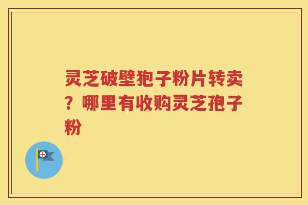 灵芝破壁狍子粉片转卖？哪里有收购灵芝孢子粉