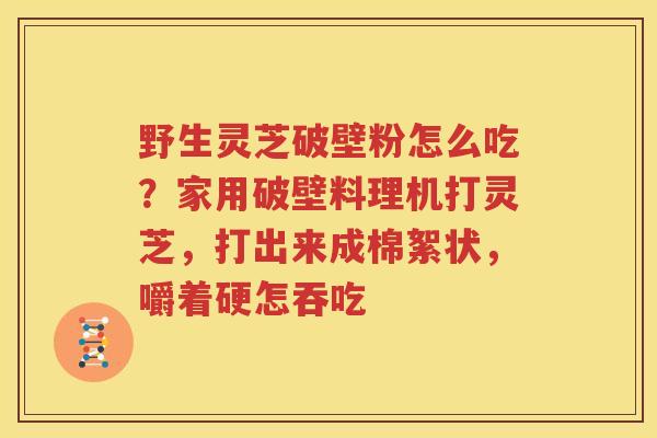 野生灵芝破壁粉怎么吃？家用破壁料理机打灵芝，打出来成棉絮状，嚼着硬怎吞吃