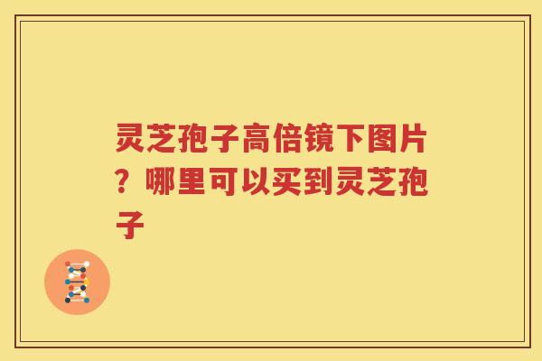 灵芝孢子高倍镜下图片？哪里可以买到灵芝孢子