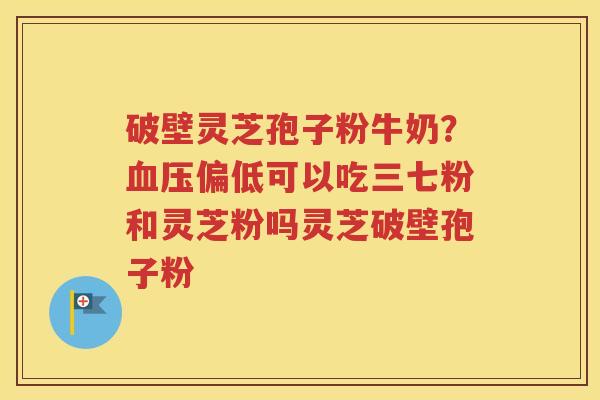 破壁灵芝孢子粉牛奶？血压偏低可以吃三七粉和灵芝粉吗灵芝破壁孢子粉