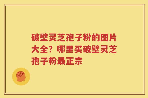 破壁灵芝孢子粉的图片大全？哪里买破壁灵芝孢子粉最正宗