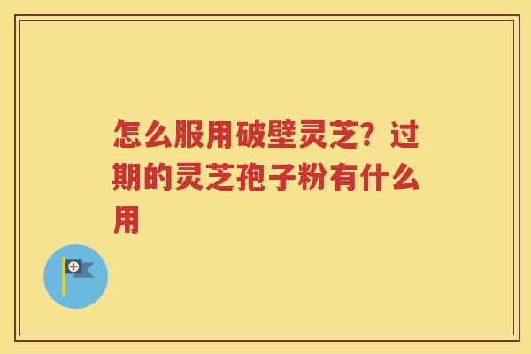 怎么服用破壁灵芝？过期的灵芝孢子粉有什么用