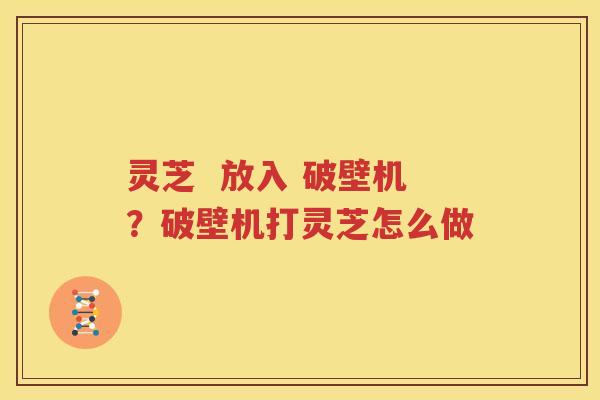 灵芝  放入 破壁机？破壁机打灵芝怎么做