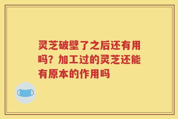 灵芝破壁了之后还有用吗？加工过的灵芝还能有原本的作用吗