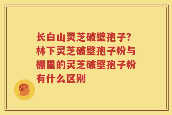 长白山灵芝破壁孢子？林下灵芝破壁孢子粉与棚里的灵芝破壁孢子粉有什么区别