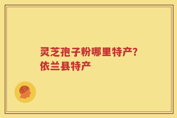 灵芝孢子粉哪里特产？依兰县特产