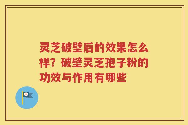 灵芝破壁后的效果怎么样？破壁灵芝孢子粉的功效与作用有哪些