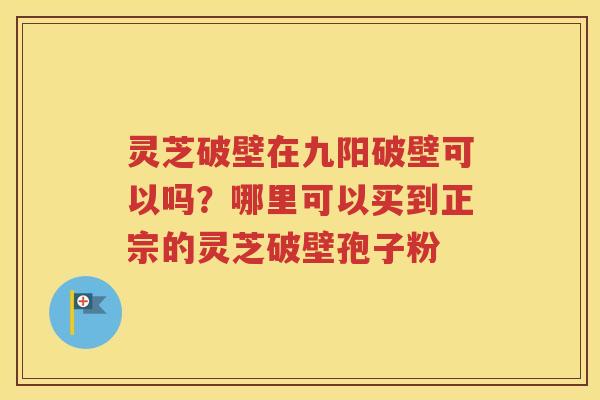灵芝破壁在九阳破壁可以吗？哪里可以买到正宗的灵芝破壁孢子粉