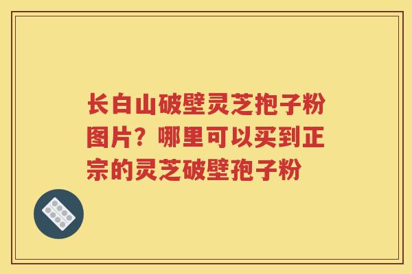 长白山破壁灵芝抱子粉图片？哪里可以买到正宗的灵芝破壁孢子粉