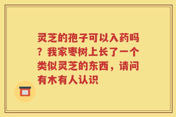 灵芝的孢子可以入药吗？我家枣树上长了一个类似灵芝的东西，请问有木有人认识