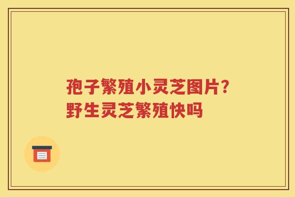 孢子繁殖小灵芝图片？野生灵芝繁殖快吗