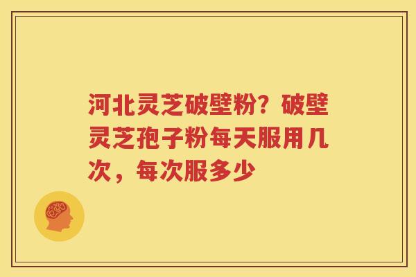 河北灵芝破壁粉？破壁灵芝孢子粉每天服用几次，每次服多少