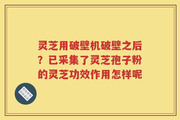 灵芝用破壁机破壁之后？已采集了灵芝孢子粉的灵芝功效作用怎样呢