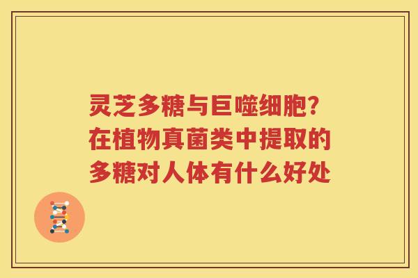 灵芝多糖与巨噬细胞？在植物真菌类中提取的多糖对人体有什么好处