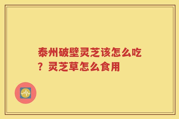 泰州破壁灵芝该怎么吃？灵芝草怎么食用