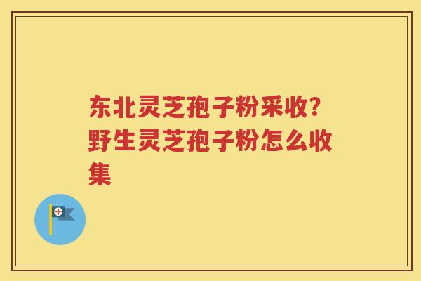 东北灵芝孢子粉采收？野生灵芝孢子粉怎么收集