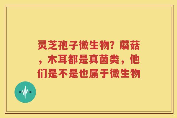 灵芝孢子微生物？蘑菇，木耳都是真菌类，他们是不是也属于微生物