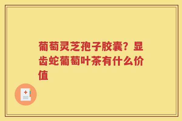 葡萄灵芝孢子胶囊？显齿蛇葡萄叶茶有什么价值