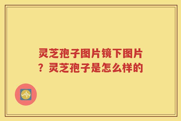 灵芝孢子图片镜下图片？灵芝孢子是怎么样的