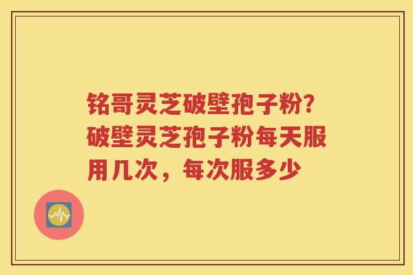 铭哥灵芝破壁孢子粉？破壁灵芝孢子粉每天服用几次，每次服多少