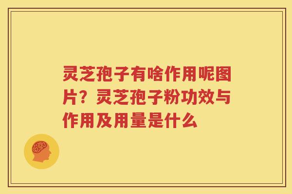 灵芝孢子有啥作用呢图片？灵芝孢子粉功效与作用及用量是什么