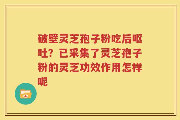 破壁灵芝孢子粉吃后呕吐？已采集了灵芝孢子粉的灵芝功效作用怎样呢