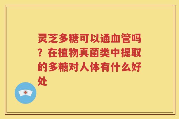 灵芝多糖可以通血管吗？在植物真菌类中提取的多糖对人体有什么好处