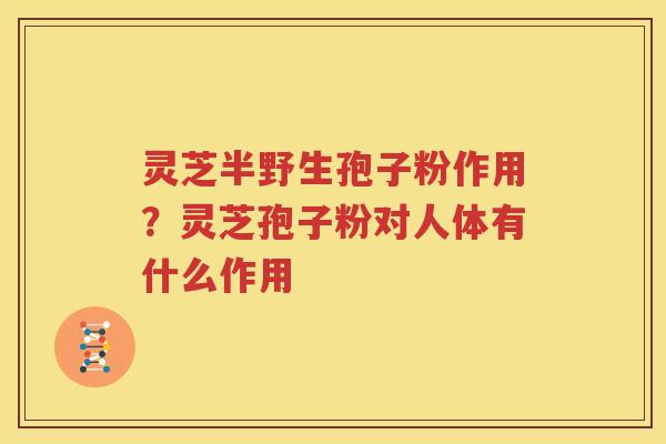 灵芝半野生孢子粉作用？灵芝孢子粉对人体有什么作用