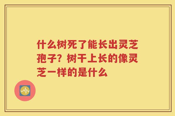 什么树死了能长出灵芝孢子？树干上长的像灵芝一样的是什么