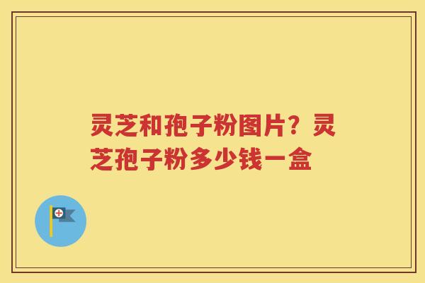 灵芝和孢子粉图片？灵芝孢子粉多少钱一盒