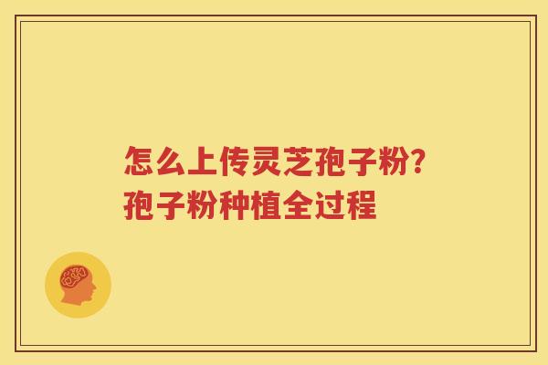 怎么上传灵芝孢子粉？孢子粉种植全过程