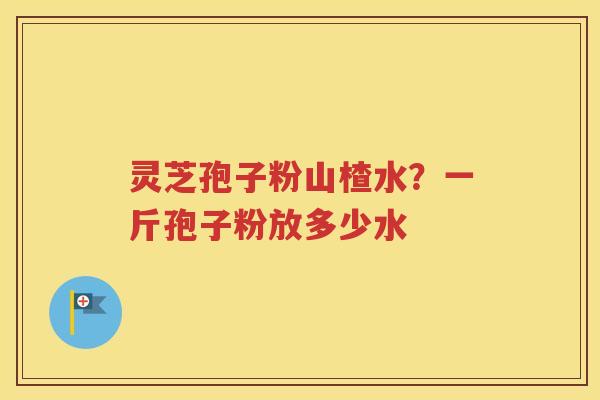 灵芝孢子粉山楂水？一斤孢子粉放多少水