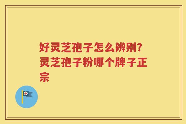 好灵芝孢子怎么辨别？灵芝孢子粉哪个牌子正宗