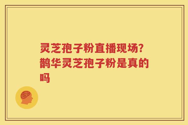 灵芝孢子粉直播现场？鹊华灵芝孢子粉是真的吗