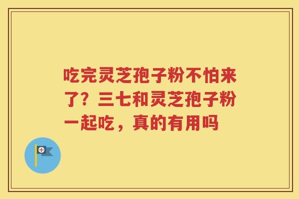 吃完灵芝孢子粉不怕来了？三七和灵芝孢子粉一起吃，真的有用吗