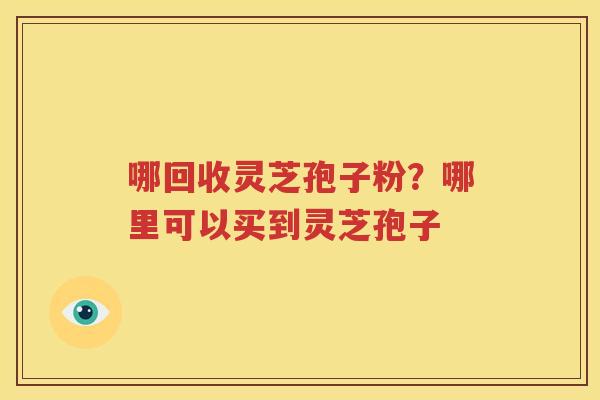 哪回收灵芝孢子粉？哪里可以买到灵芝孢子