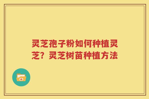 灵芝孢子粉如何种植灵芝？灵芝树苗种植方法