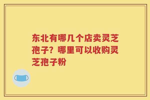 东北有哪几个店卖灵芝孢子？哪里可以收购灵芝孢子粉