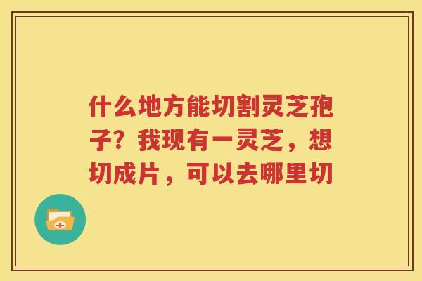 什么地方能切割灵芝孢子？我现有一灵芝，想切成片，可以去哪里切