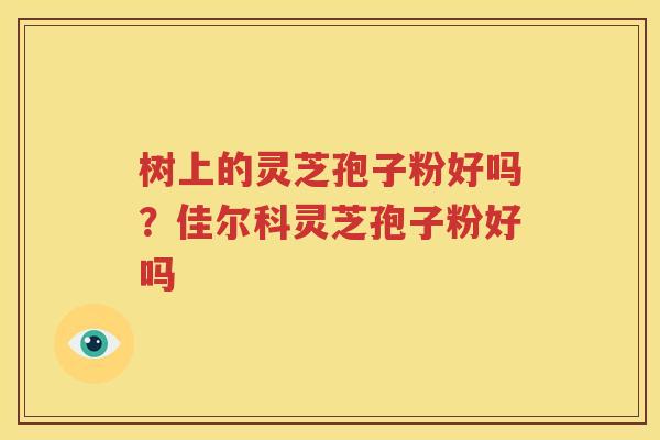 树上的灵芝孢子粉好吗？佳尔科灵芝孢子粉好吗