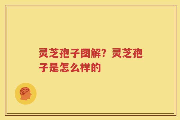 灵芝孢子图解？灵芝孢子是怎么样的