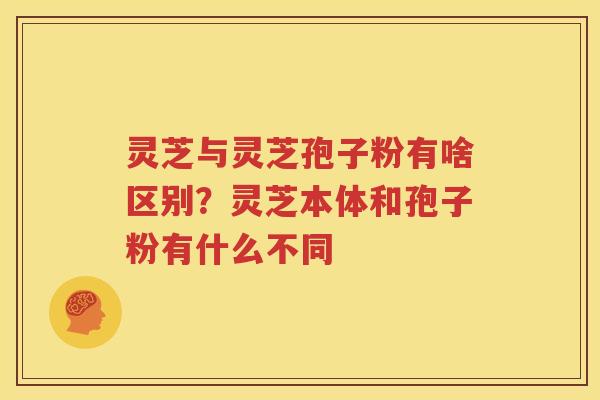 灵芝与灵芝孢子粉有啥区别？灵芝本体和孢子粉有什么不同