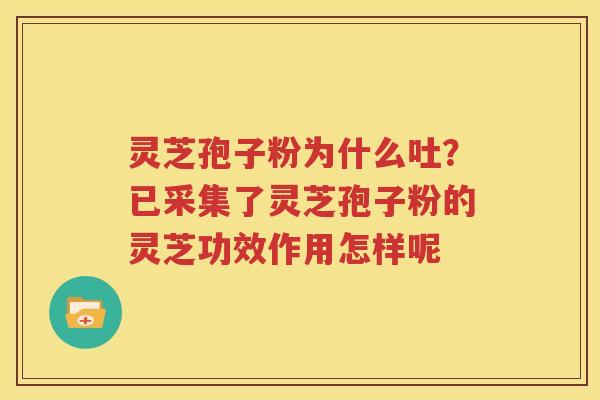 灵芝孢子粉为什么吐？已采集了灵芝孢子粉的灵芝功效作用怎样呢