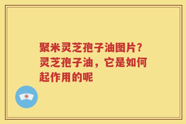 聚米灵芝孢子油图片？灵芝孢子油，它是如何起作用的呢