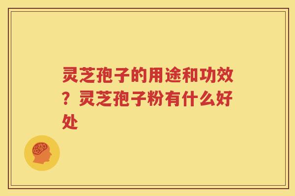 灵芝孢子的用途和功效？灵芝孢子粉有什么好处