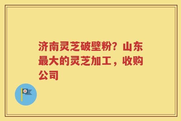 济南灵芝破壁粉？山东最大的灵芝加工，收购公司