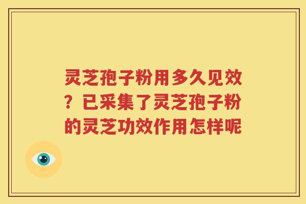 灵芝孢子粉用多久见效？已采集了灵芝孢子粉的灵芝功效作用怎样呢