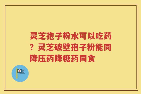 灵芝孢子粉水可以吃药？灵芝破壁孢子粉能同降压药降糖药同食