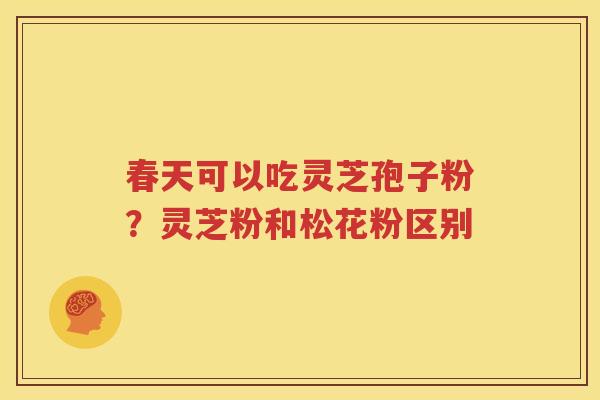春天可以吃灵芝孢子粉？灵芝粉和松花粉区别